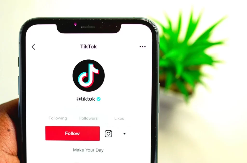 They discover that the TikTok browser is capable of recording everything that users type