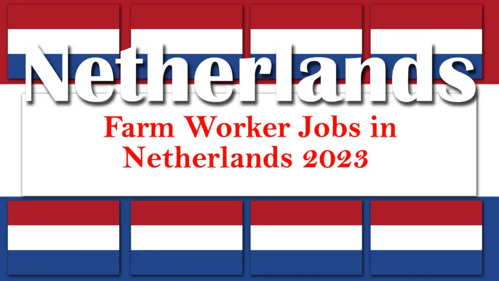 Farm Worker Jobs in Netherlands 2023 (Apply Online)