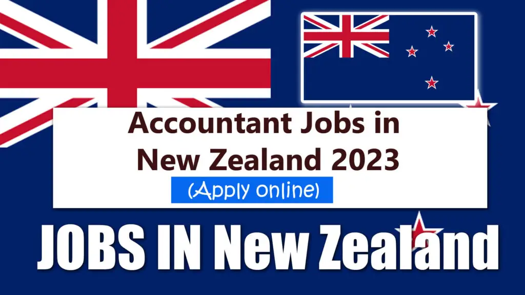 Accountant Jobs in New Zealand 2023 (Apply Online)