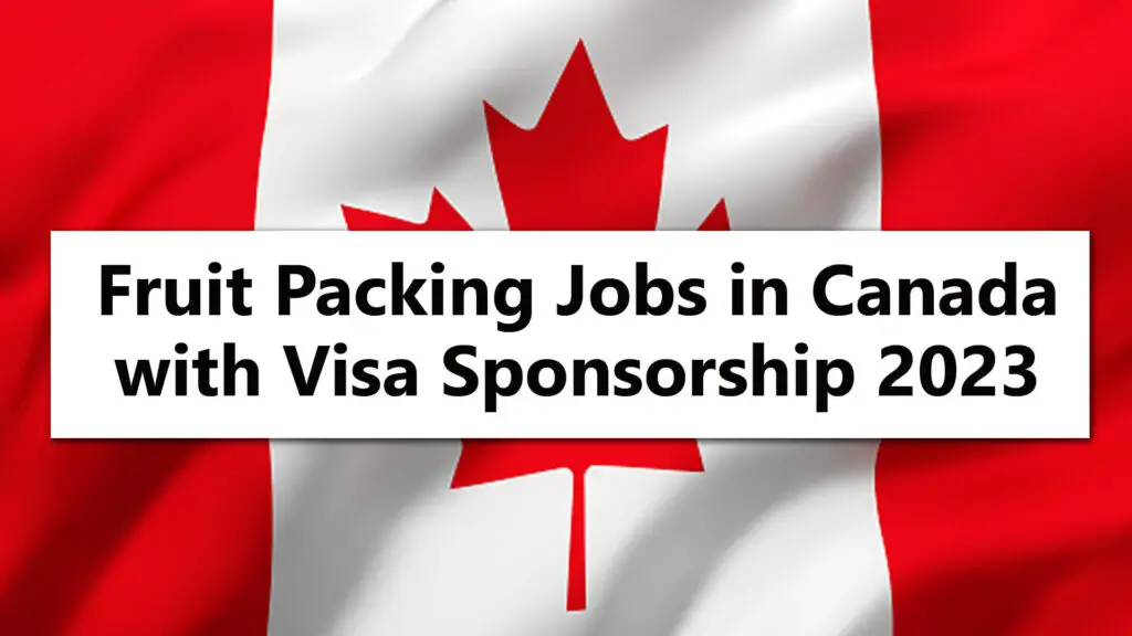 Fruit Packing Jobs in Canada with Visa Sponsorship 2023 (Apply online)