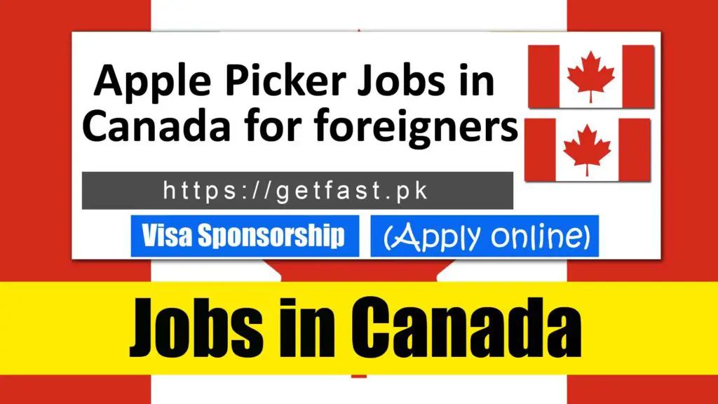 Apple Picker Jobs in Canada for foreigners 2023 (Apply Online)