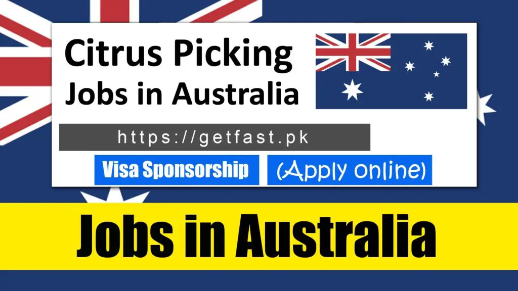 Citrus Picking Jobs in Australia with Sponsorship 2023 (Apply online)