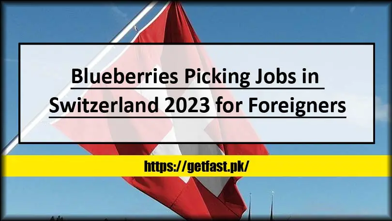 Blueberries Picking Jobs in Switzerland 2023 for Foreigners (Apply Online)