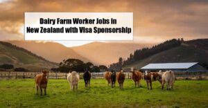Dairy Farm Worker Jobs in New Zealand with Visa Sponsorship 2026 – High ...