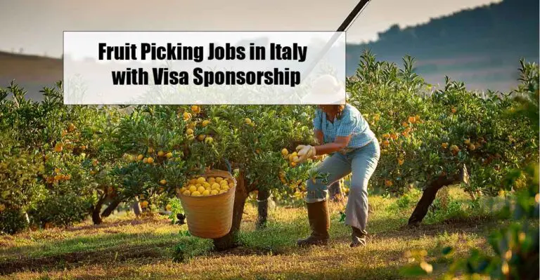 Fruit Picking Jobs in Italy – Family Farms with Visa Sponsorship