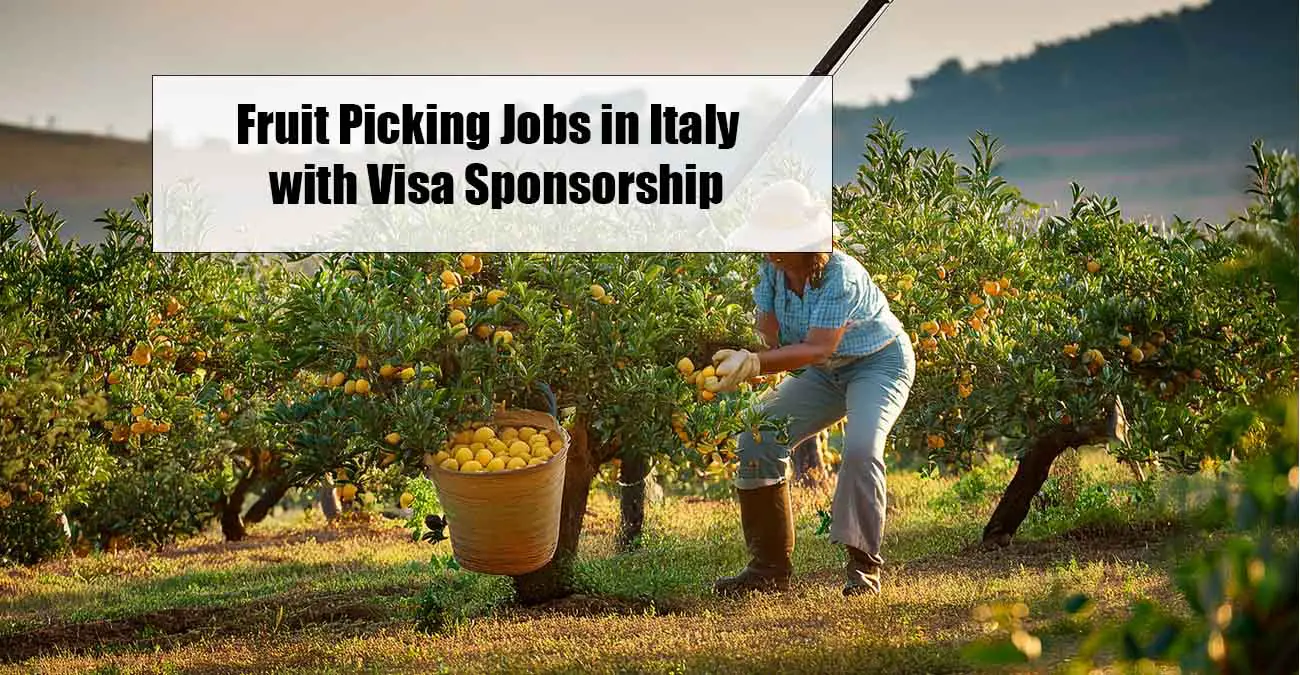 Fruit Picking Jobs in Italy – Family Farms with Visa Sponsorship
