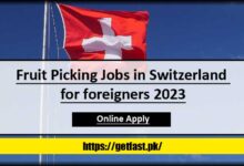 Fruit Picking Jobs in Switzerland for foreigners 2023 - Apply Online