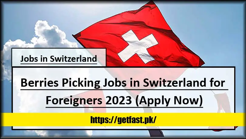 Berries Picking Jobs in Switzerland for Foreigners 2023 (Apply Now)