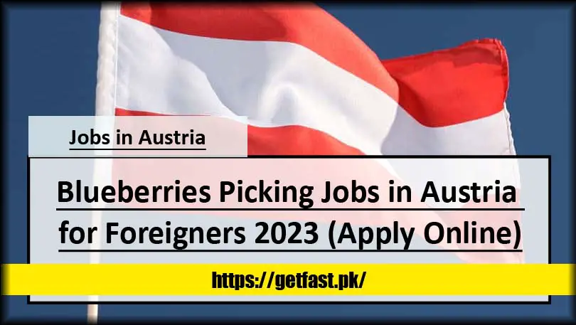 Blueberries Picking Jobs in Austria for Foreigners 2023 (Apply Online)