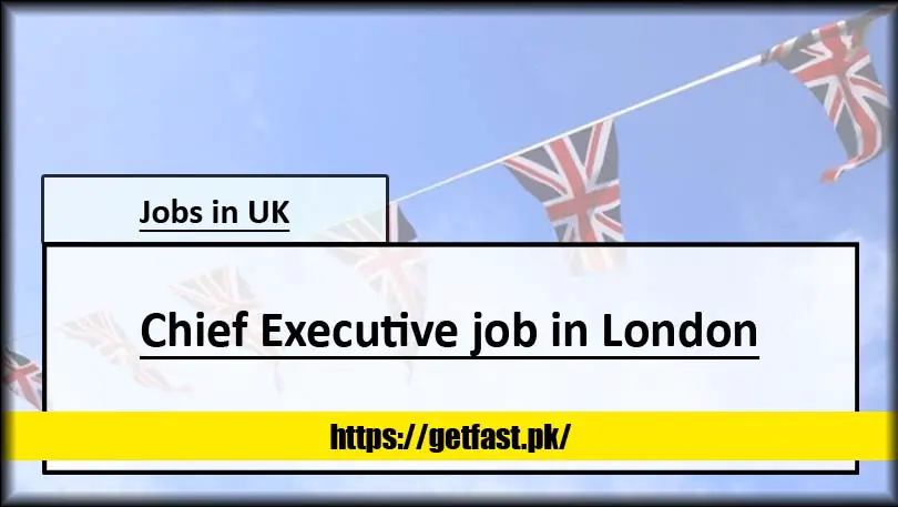 Chief Executive job in London