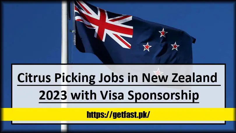 Citrus Picking Jobs in New Zealand 2023 with Visa Sponsorship