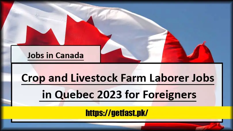 Crop and Livestock Farm Laborer Jobs in Quebec 2023 for Foreigners (Apply Online)