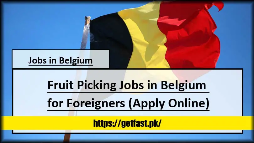 Fruit Picking Jobs in Belgium for Foreigners (Apply Online)