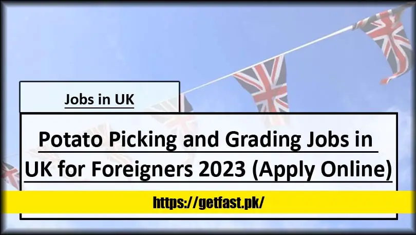 Potato Picking and Grading Jobs in UK for Foreigners 2023 (Apply Online)