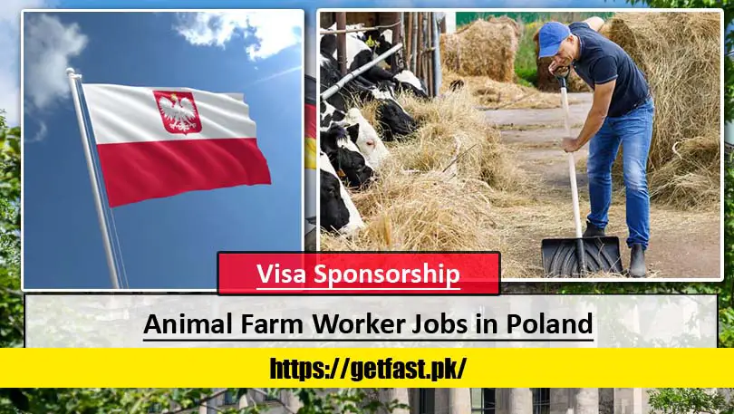 Animal Farm Worker Jobs in Poland