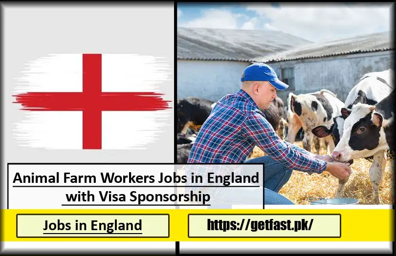 Animal Farm Workers Jobs in England with Visa Sponsorship