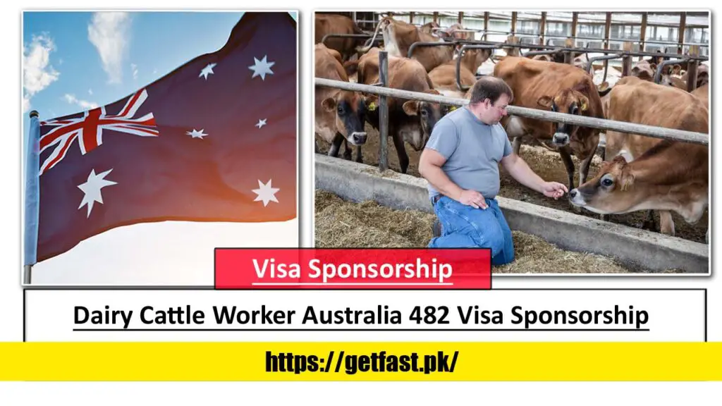 Dairy Cattle Worker/ Dairy Cattle farm Operator – Australia 482 Visa Sponsorship