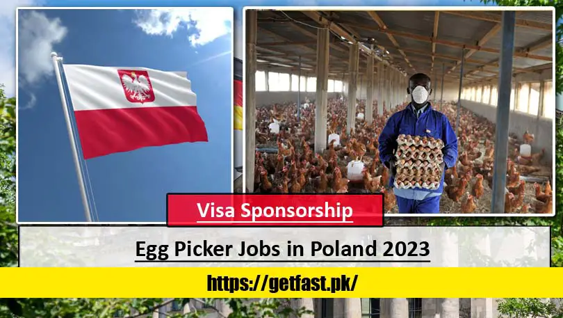 Egg Picker Jobs in Poland 2023