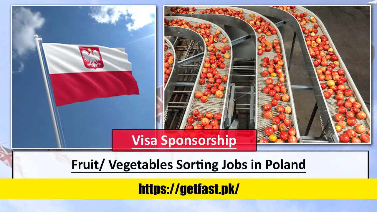 Fruit/ Vegetables Sorting Jobs in Poland