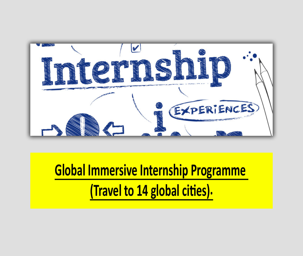 Global Immersive Internship Programme
