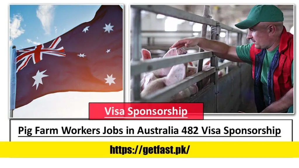Pig Farm Workers Jobs in Australia with 482 Visa Sponsorship