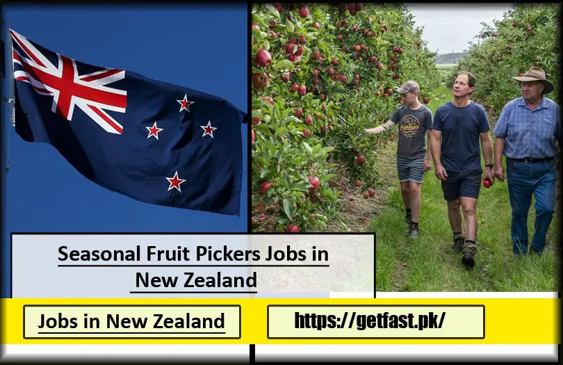Seasonal Fruit Pickers Jobs in New Zealand with Free Food and Accommodation