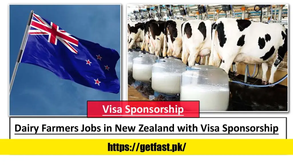 Dairy Farmers Jobs in New Zealand with Visa Sponsorship (Relocation Assistance)