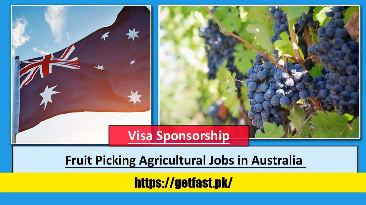 Fruit Picking Agricultural Jobs in Australia 2023