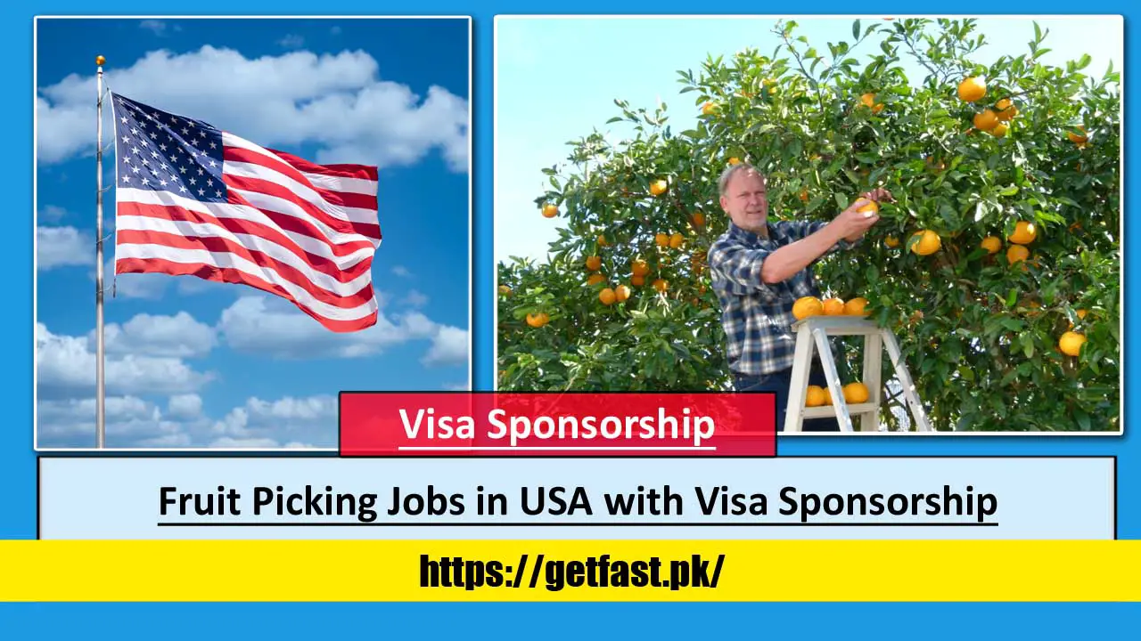 Fruit Picking Jobs in USA with Visa Sponsorship