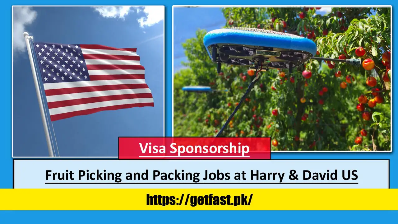 Fruit Picking and Packing Jobs