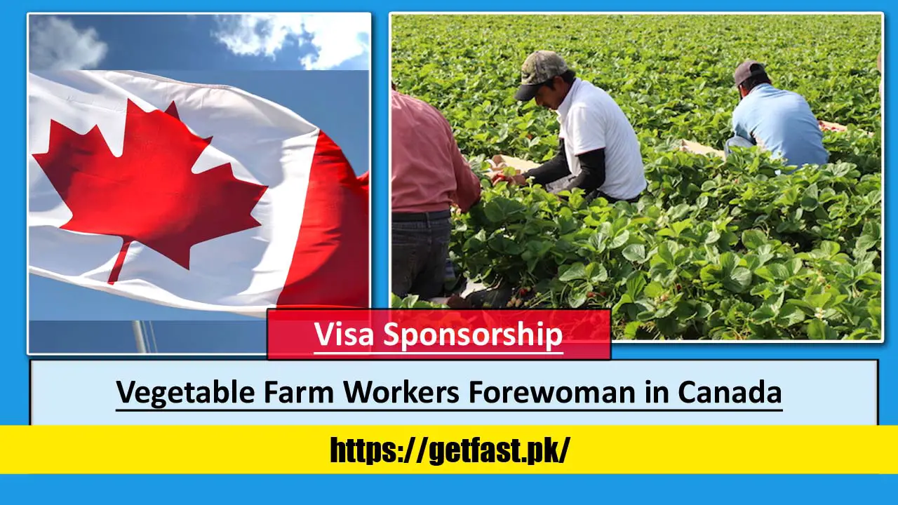 Vegetable Farm Workers Forewoman in Canada