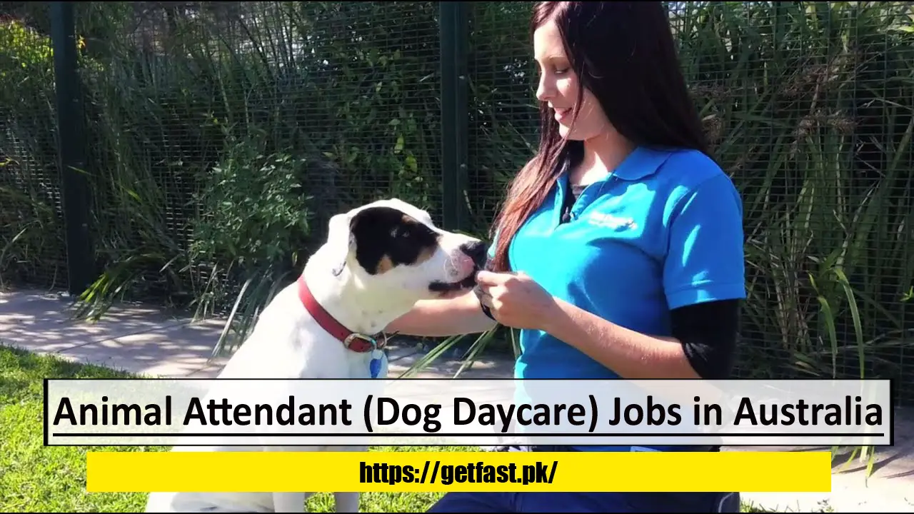Animal Attendant (Dog Daycare) Jobs in Australia