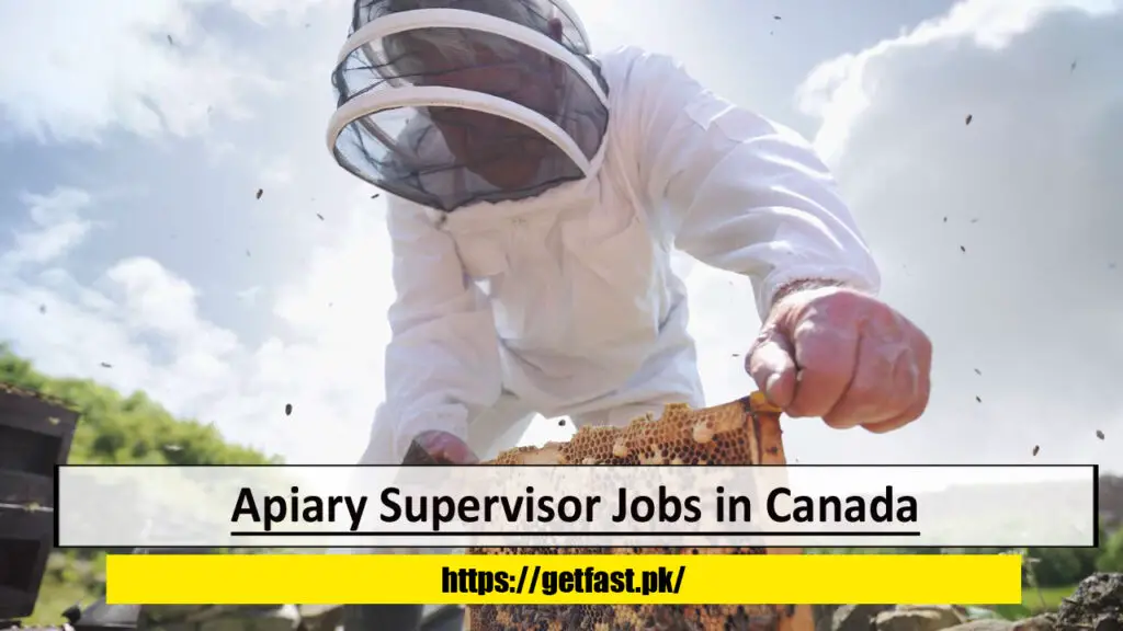 Apiary Supervisor Jobs in Canada