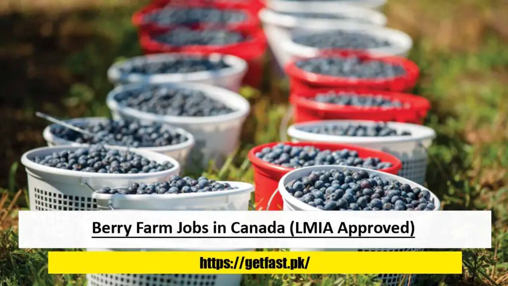 Berry Farm Jobs in Canada (LMIA Approved)