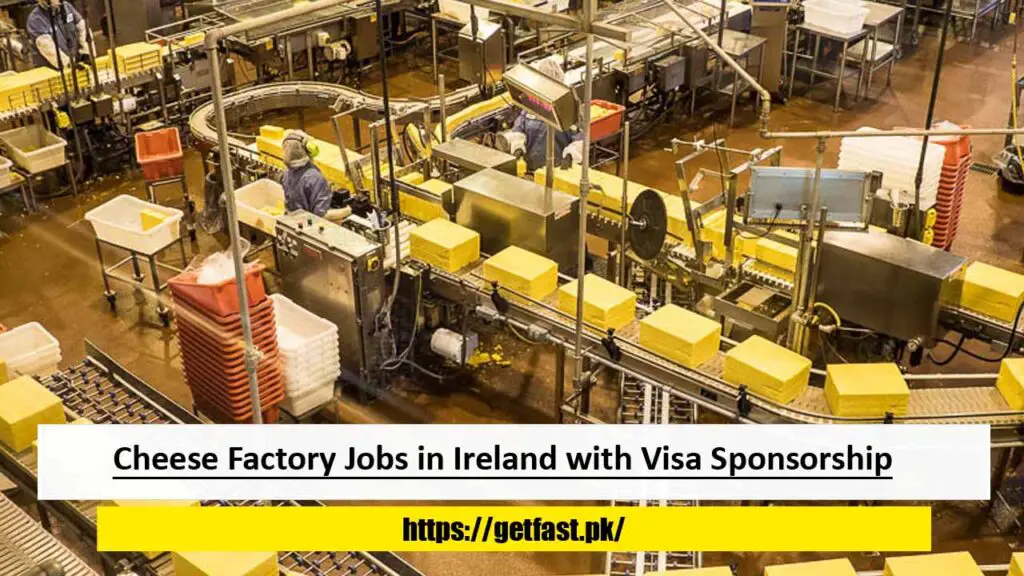 Cheese Factory Jobs in Ireland with Visa Sponsorship