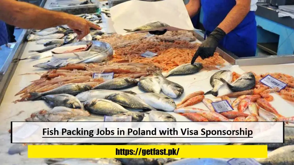 Fish Packing Jobs in Poland with Visa Sponsorship and Free Accommodation