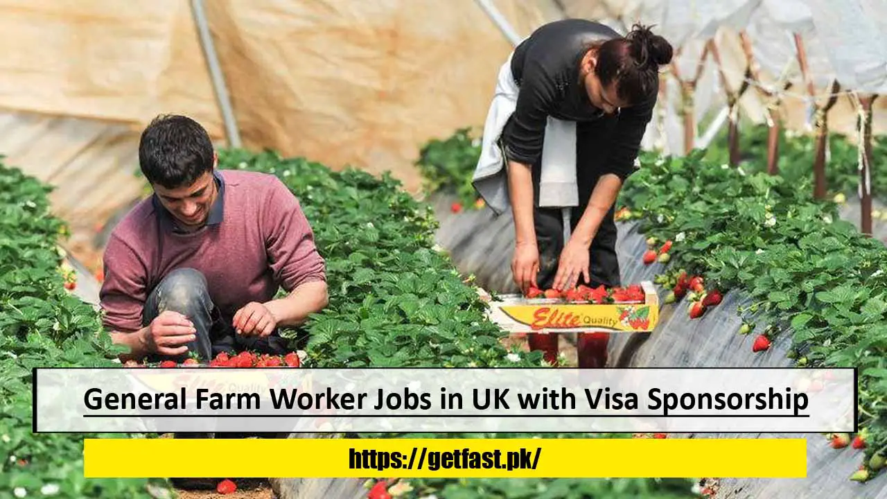 General Farm Worker Jobs in UK with Visa Sponsorship