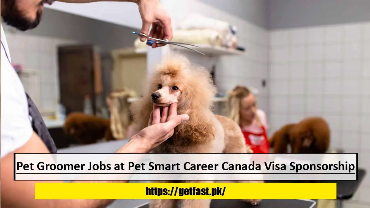 Pet Groomer Jobs at Pet Smart Career Canada with Visa Sponsorship
