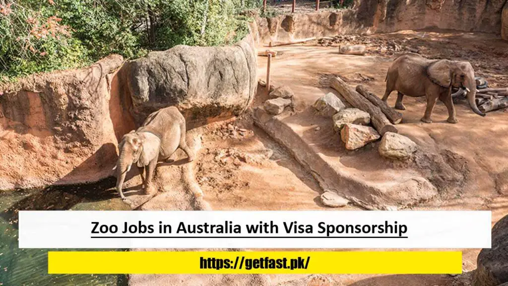 Zoo Jobs in Australia with Visa Sponsorship