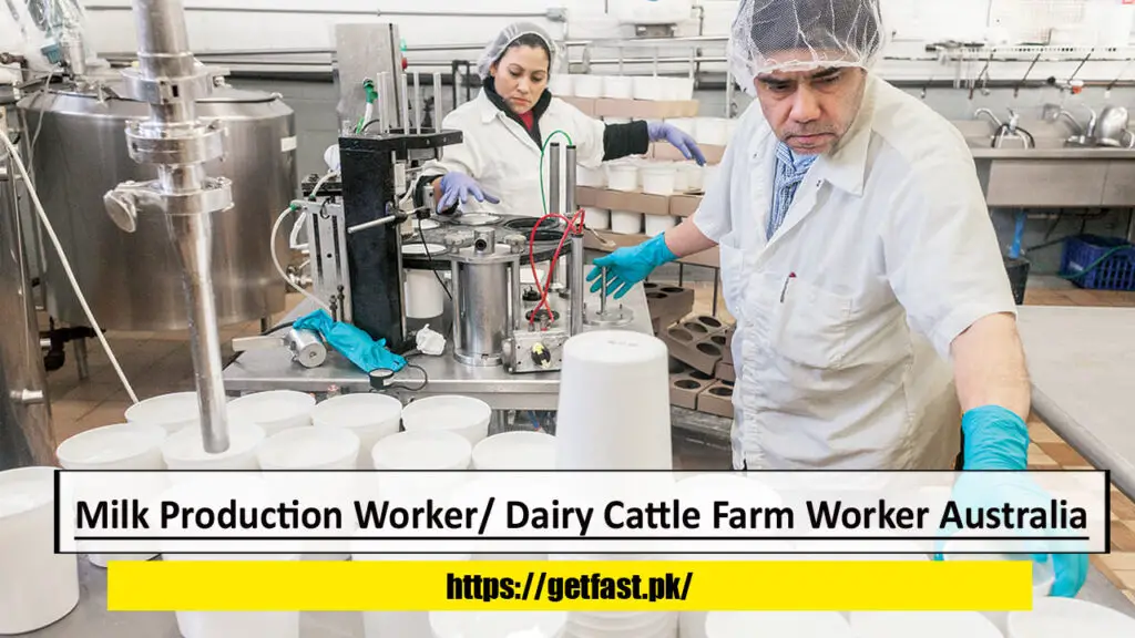 Milk Production Worker/ Dairy Cattle Farm Worker Australia
