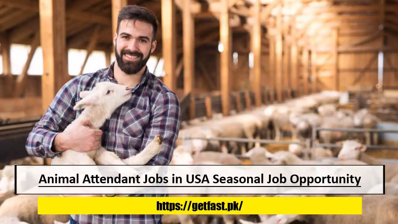 Animal Attendant Jobs in USA Seasonal Job Opportunity with Free Visa