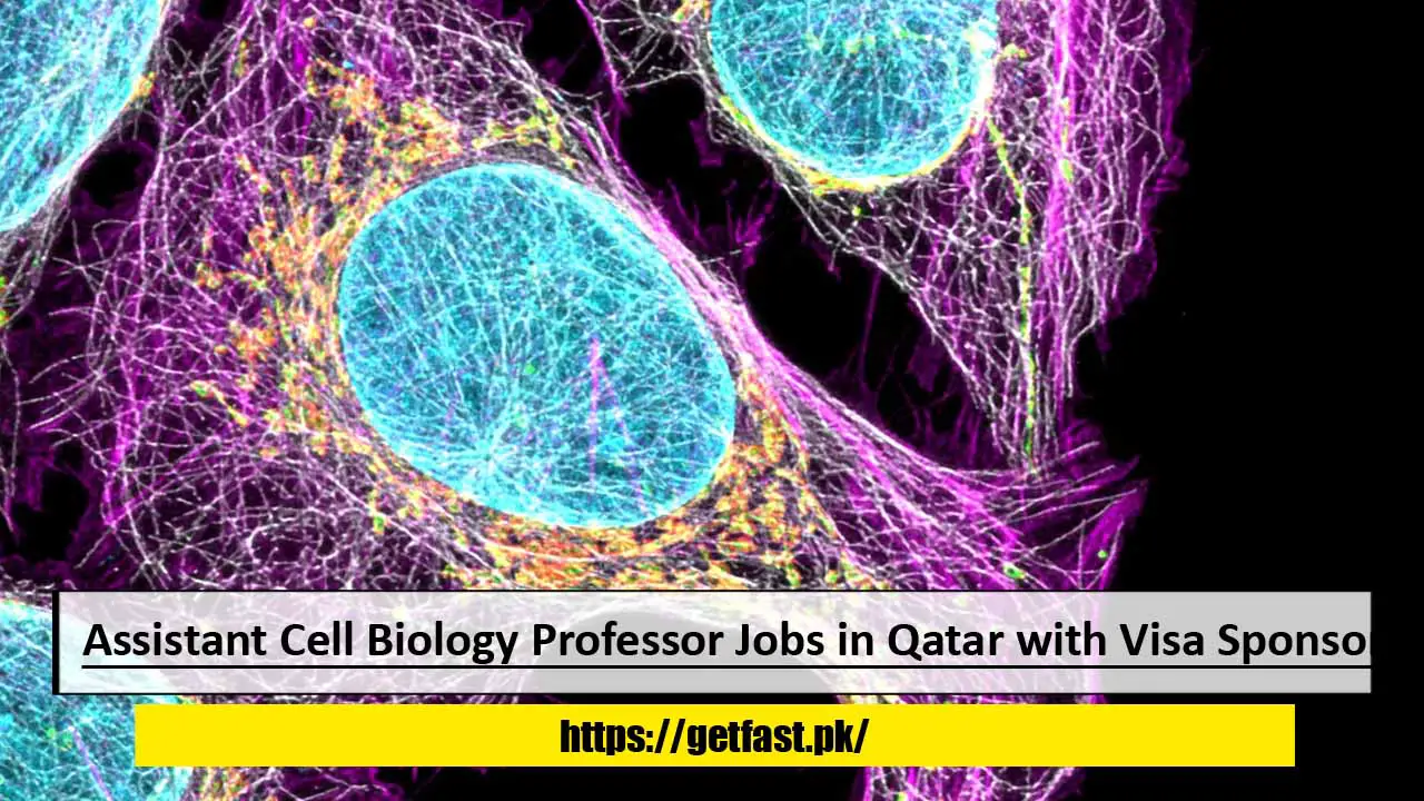 Assistant Cell Biology Professor Jobs in Qatar with Visa Sponsorship – Apply Now