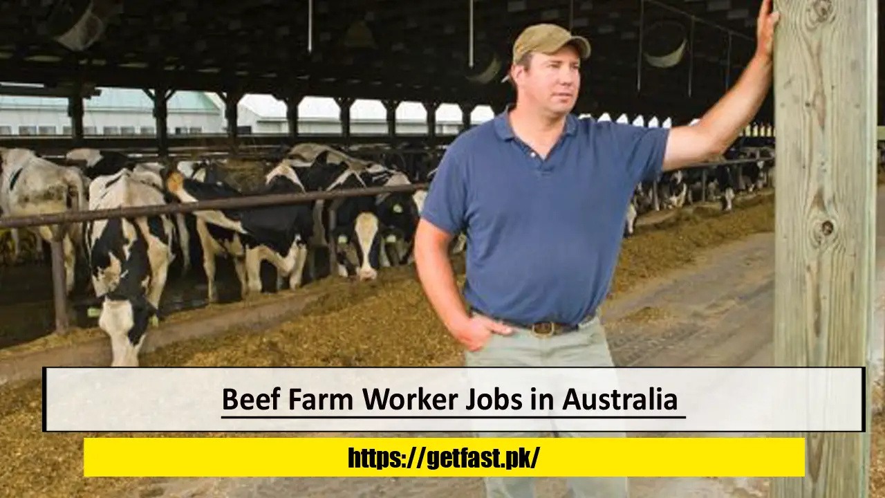 Beef Farm Worker Jobs in Australia with Visa Sponsorship, Free Food, and Accommodation- Apply Now