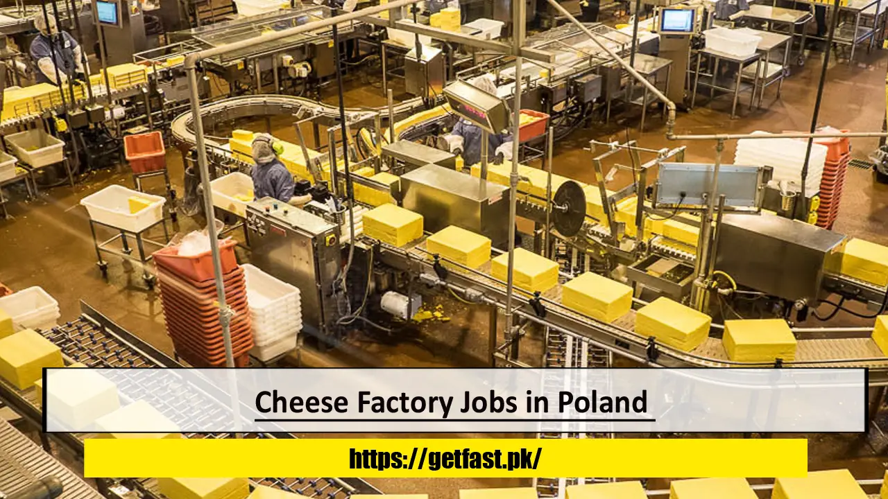 Cheese Factory Jobs in Poland with Visa Sponsorship and Free Accommodation- Apply Now