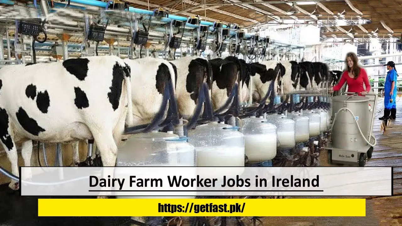 Dairy Farm Worker Jobs in Ireland