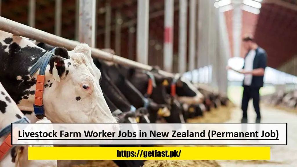 Livestock Farm Worker Jobs in New Zealand (Permanent Job) with Visa Sponsorship