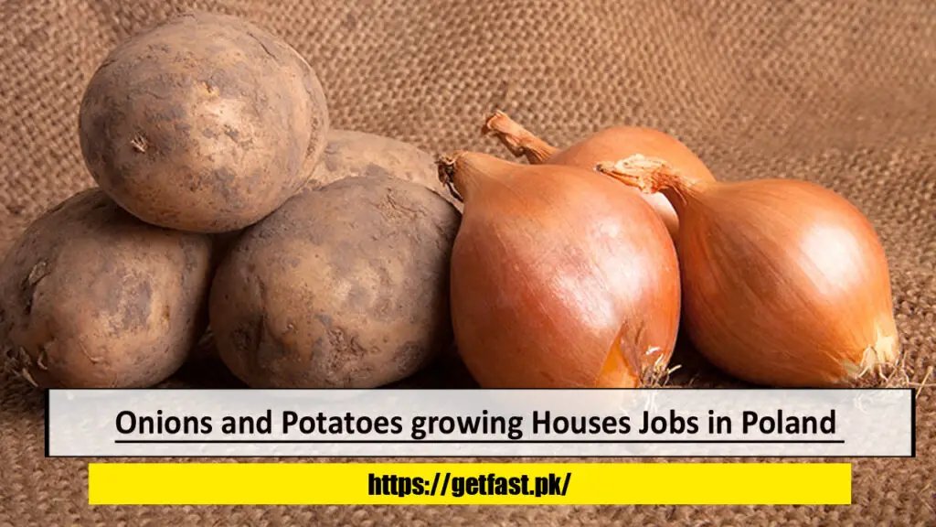 Onions and Potatoes growing Houses Jobs in Poland