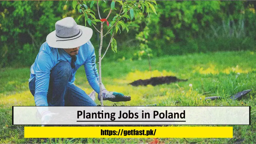 Planting Jobs in Poland