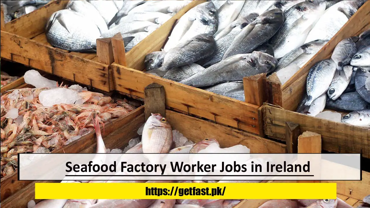 Seafood Factory Worker Jobs in Ireland