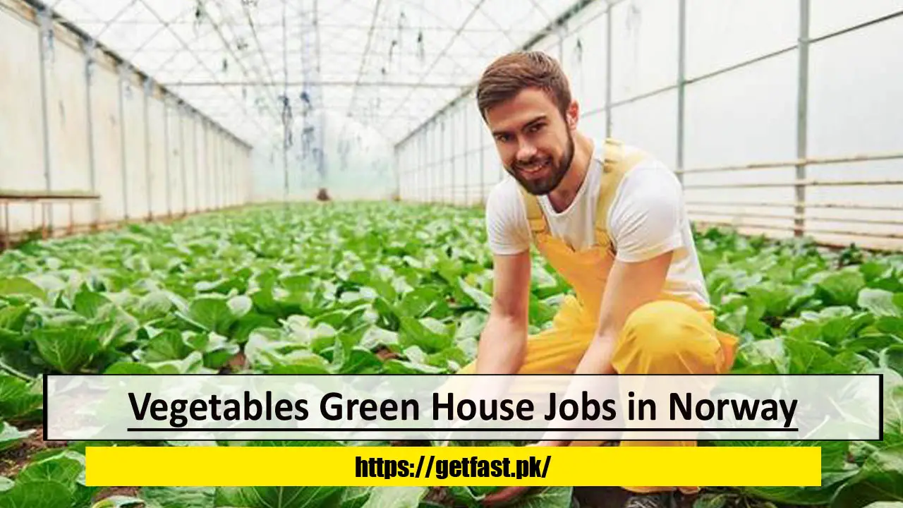 Vegetables Green House Jobs in Norway